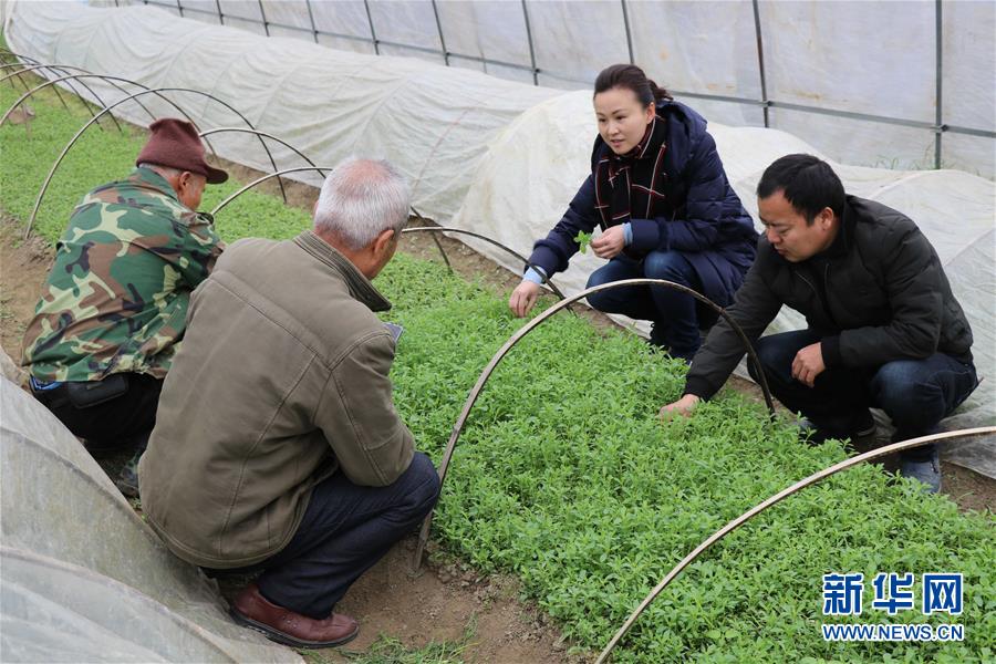 （兩會前夕看落實&middot;圖文互動）（1）奮力脫貧攻堅 生態(tài)追&ldquo;清&rdquo;逐&ldquo;綠&rdquo;&mdash;&mdash;江西落實習近平總書記全國兩會重要講話精神紀實