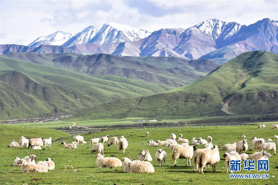 （兩會(huì)前夕看落實(shí)&middot;圖文互動(dòng)）（1）以&ldquo;一優(yōu)兩高&rdquo;戰(zhàn)略描繪三江源壯美畫(huà)卷&mdash;&mdash;青海落實(shí)習(xí)近平總書(shū)記全國(guó)兩會(huì)重要講話(huà)精神紀(jì)實(shí)