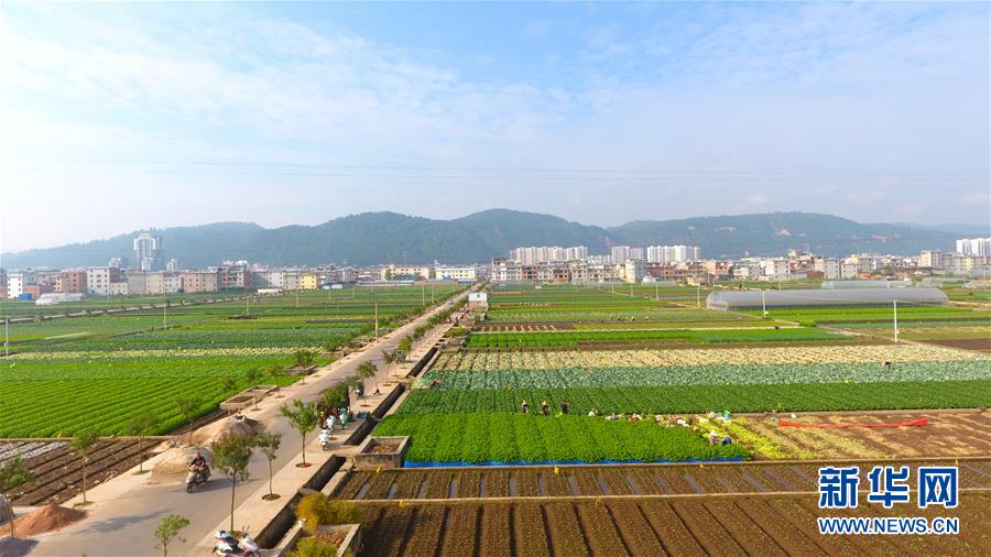 （新華全媒頭條&middot;圖文互動）（7）滄海桑田一指間&mdash;&mdash;6個村莊的70年巨變 