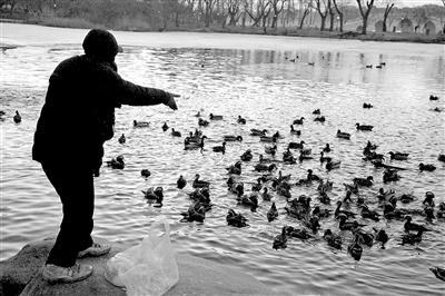 點擊進(jìn)入下一頁