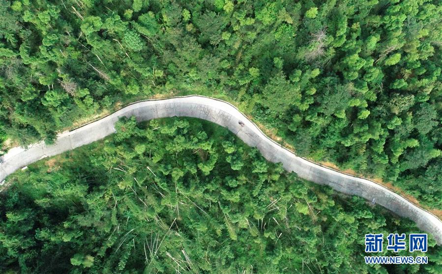 （中國(guó)網(wǎng)事&middot;感動(dòng)2019&middot;圖文互動(dòng)）（7）鄉(xiāng)村教師高自仁：60多根拐杖，撐起42年教學(xué)路