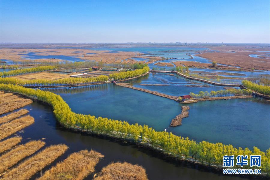 （新華全媒頭條&middot;圖文互動）（5）奮進(jìn)，向著未來之城！&mdash;&mdash;河北雄安新區(qū)建設(shè)發(fā)展兩周年紀(jì)實(shí)