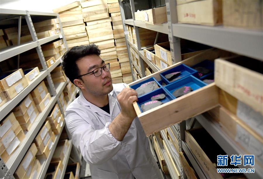 （新華全媒頭條&middot;圖文互動）（4）探尋5億年前&ldquo;生命大爆炸&rdquo;之奧秘&mdash;&mdash;中國科學(xué)家發(fā)現(xiàn)寒武紀(jì)&ldquo;化石寶庫&rdquo;清江生物群紀(jì)實(shí)