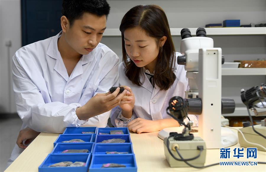 （新華全媒頭條&middot;圖文互動）（5）探尋5億年前&ldquo;生命大爆炸&rdquo;之奧秘&mdash;&mdash;中國科學(xué)家發(fā)現(xiàn)寒武紀(jì)&ldquo;化石寶庫&rdquo;清江生物群紀(jì)實(shí)