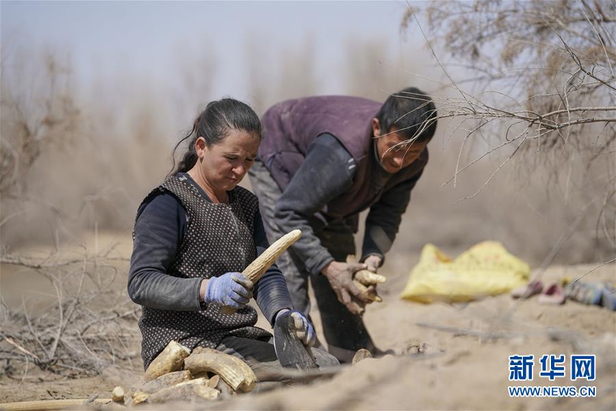 （新華全媒頭條&middot;圖文互動(dòng)）（6）一步千年，&ldquo;最后的沙漠部落&rdquo;遷入新家園