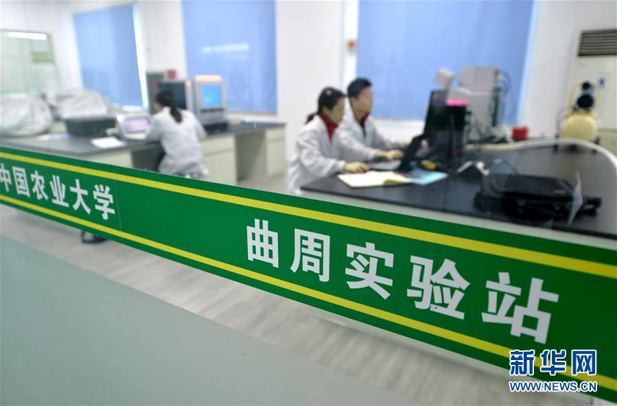 （愛國(guó)情 奮斗者&middot;圖文互動(dòng)）（3） &ldquo;解民生之多艱，育天下之英才&rdquo;&mdash;&mdash;中國(guó)農(nóng)大師生扎根田野書寫奉獻(xiàn)之歌