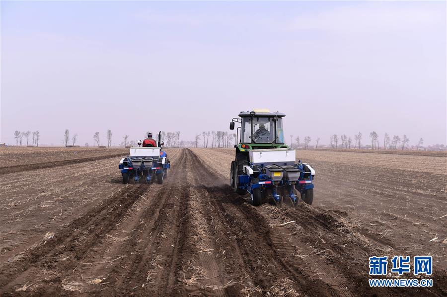 （壯麗70年&middot;奮斗新時(shí)代&middot;圖文互動）（2）吉林榆樹：從產(chǎn)糧大縣到農(nóng)業(yè)強(qiáng)縣的不懈探索