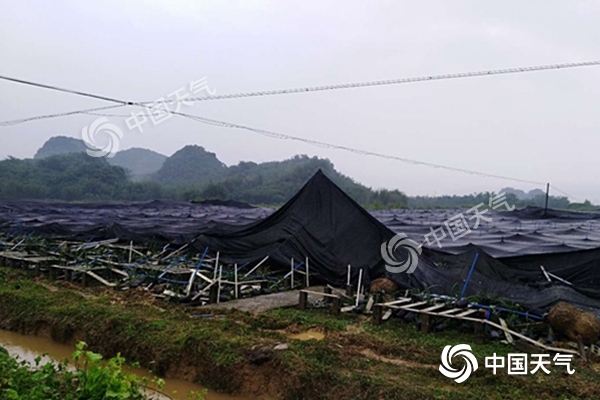 周末雨不休！南北方同迎大范圍降水
