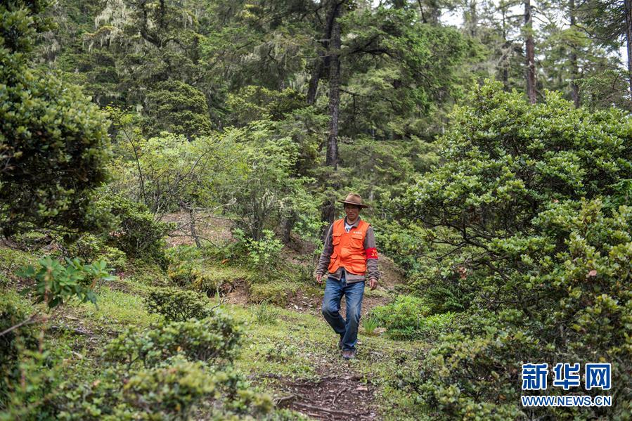 （新華全媒頭條&middot;北京世園會&middot;圖文互動）（13）建設美麗中國 共筑綠色家園&mdash;&mdash;寫在2019年中國北京世界園藝博覽會開幕之際
