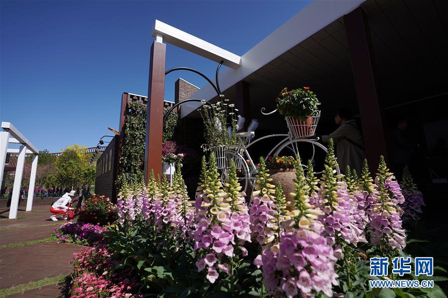 （北京世園會(huì)）（2）北京世園會(huì)迎來(lái)&ldquo;天津日&rdquo;