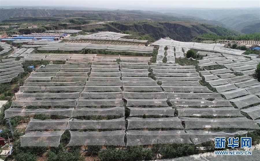 （新華全媒頭條&middot;圖文互動）（11）春暉沐浴寶塔山&mdash;&mdash;寫在延安各縣整體脫貧摘帽之際