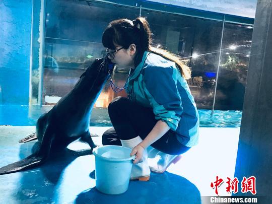 于雅麗與海獅親密瞬間?！“瑧c龍 攝