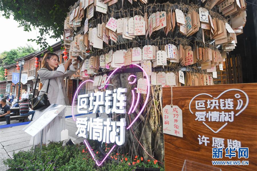 （新華全媒頭條&middot;圖文互動(dòng)）（9）從&ldquo;數(shù)字中國(guó)&rdquo;看中國(guó)發(fā)展新信號(hào)、新亮點(diǎn)、新趨勢(shì)