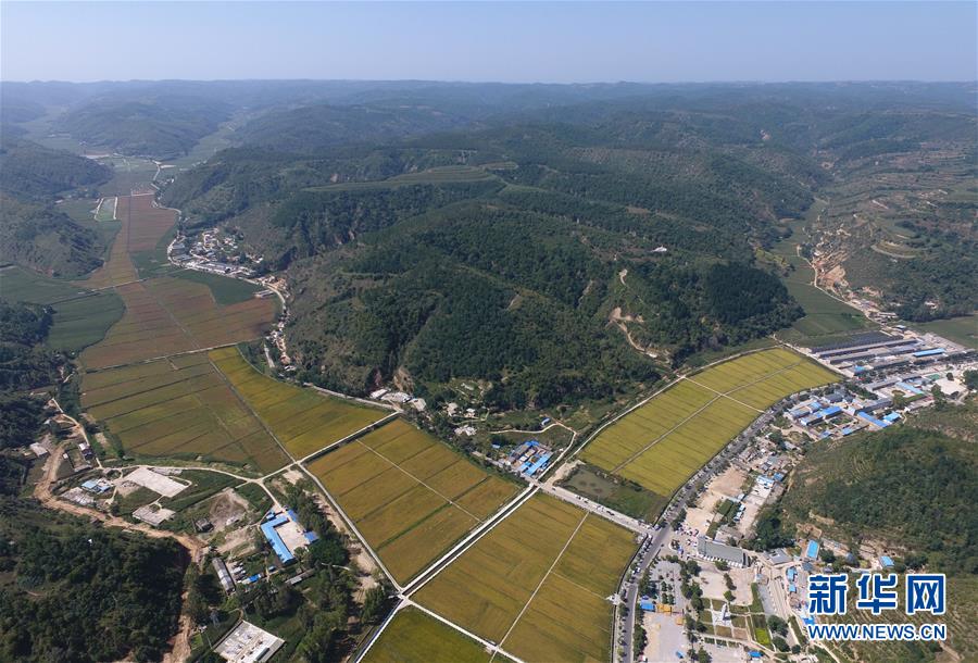 （圖文互動(dòng)）（1）今日延安：&ldquo;對(duì)照過去我認(rèn)不出了你&rdquo;&mdash;&mdash;紅色圣地的生態(tài)交響曲