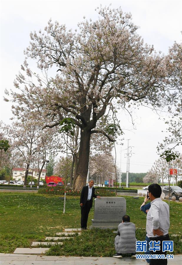 （壯麗70年&middot;奮斗新時(shí)代&middot;圖文互動(dòng)）（6）以改革創(chuàng)新實(shí)現(xiàn)縣域新治&mdash;&mdash;河南蘭考縣域治理樣本觀察