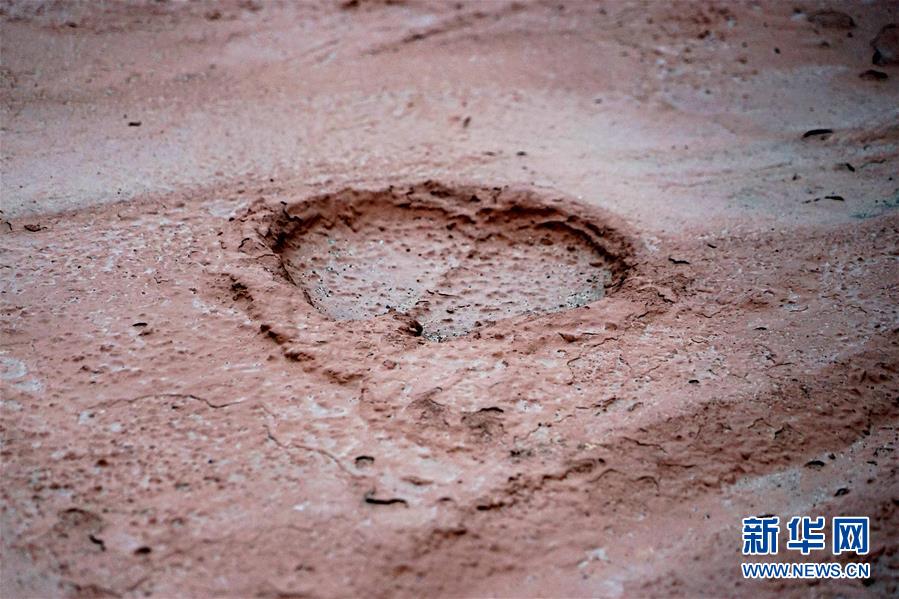 （新華全媒頭條&middot;圖文互動）（8）&ldquo;若問古今興廢事，請君只看洛陽城&rdquo;&mdash;&mdash;千年古都&ldquo;烹制&rdquo;博物館盛宴