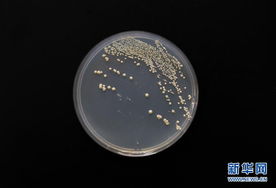 （新華全媒頭條&middot;圖文互動）（6）&ldquo;兩個一公里&rdquo;的創(chuàng)新答案&mdash;&mdash;上海全力建設(shè)全球科創(chuàng)中心紀(jì)實