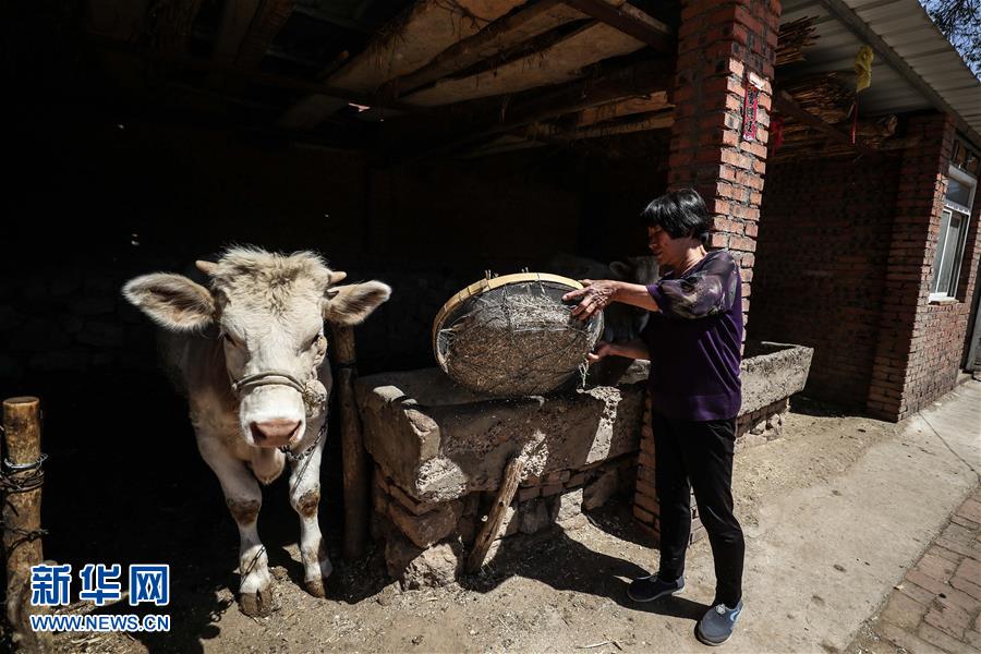 （圖文互動(dòng)）（2）一條38年的生命通道：媽媽會(huì)一直把你當(dāng)作&ldquo;雛鳥(niǎo)&rdquo;