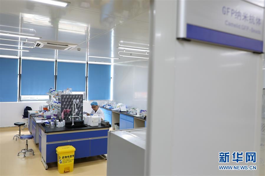 （在習近平新時代中國特色社會主義思想指引下&mdash;&mdash;新時代新作為新篇章&middot;圖文互動）（6）從種地到&ldquo;種&rdquo;高科技產業(yè)&mdash;&mdash;&ldquo;改革村&rdquo;的新思維