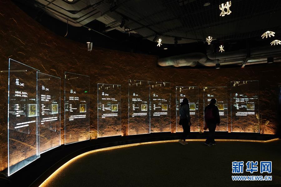 （在習(xí)近平新時代中國特色社會主義思想指引下&mdash;&mdash;新時代新作為新篇章&middot;圖文互動）（4）從世園會&ldquo;看&rdquo;中國綠色發(fā)展之路&mdash;&mdash;寫在北京世園會&ldquo;中國國家館日&rdquo;到來之際