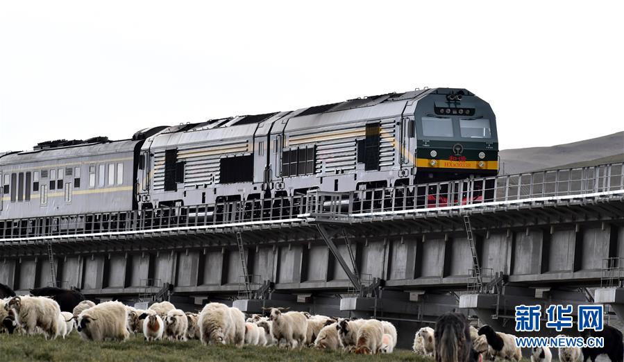 （新華全媒頭條&middot;壯麗70年&middot;奮斗新時(shí)代&middot;圖文互動(dòng)）（12）開拓雪域高原的夢想之路&mdash;&mdash;來自青藏鐵路的蹲點(diǎn)報(bào)告