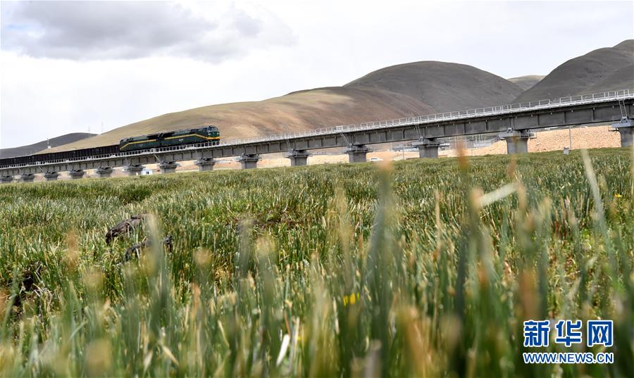 （新華全媒頭條&middot;壯麗70年&middot;奮斗新時(shí)代&middot;圖文互動(dòng)）（15）開拓雪域高原的夢想之路&mdash;&mdash;來自青藏鐵路的蹲點(diǎn)報(bào)告