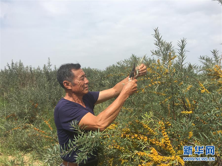 （權(quán)威訪談&middot;聚焦中國(guó)經(jīng)濟(jì)亮點(diǎn)&middot;圖文互動(dòng)）（4）防治土地荒漠化 推動(dòng)綠色發(fā)展&mdash;&mdash;專訪國(guó)家林業(yè)和草原局副局長(zhǎng)劉東生