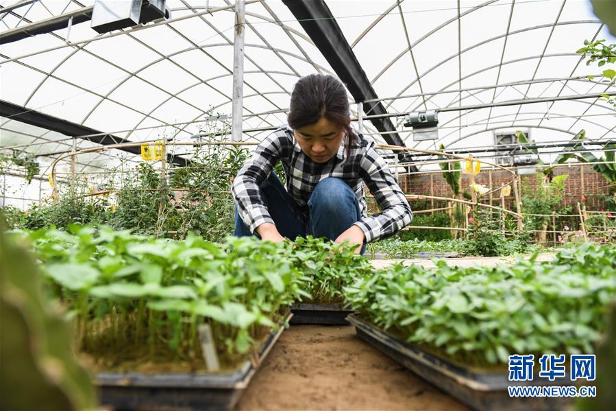 （權(quán)威訪談&middot;聚焦中國(guó)經(jīng)濟(jì)亮點(diǎn)&middot;圖文互動(dòng)）（5）防治土地荒漠化 推動(dòng)綠色發(fā)展&mdash;&mdash;專訪國(guó)家林業(yè)和草原局副局長(zhǎng)劉東生