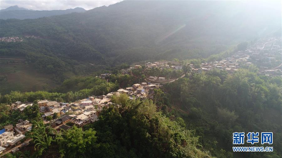 （直過民族脫貧攻堅(jiān)&middot;圖文互動(dòng)）（1）又見白鷴鳥