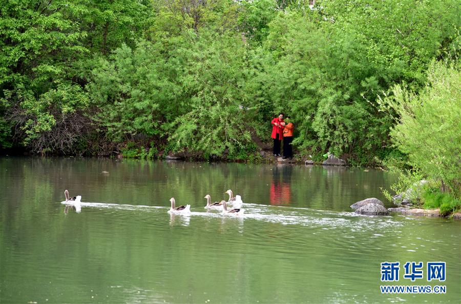 （在習(xí)近平新時(shí)代中國(guó)特色社會(huì)主義思想指引下&mdash;&mdash;新時(shí)代新作為新篇章&middot;圖文互動(dòng)）（4）在這里，遇見(jiàn)&ldquo;詩(shī)和遠(yuǎn)方&rdquo;&mdash;&mdash;長(zhǎng)白山下&ldquo;第一鎮(zhèn)&rdquo;的全域旅游實(shí)踐