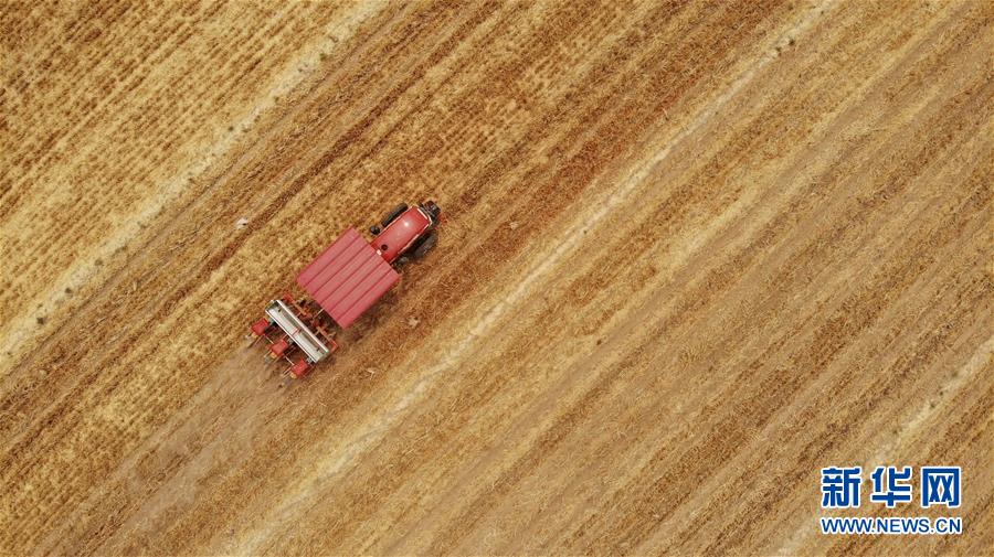 （新華全媒頭條&middot;圖文互動(dòng)）（7）一個(gè)傳統(tǒng)農(nóng)業(yè)縣的脫貧之路&mdash;&mdash;來自河北新河的調(diào)查報(bào)告