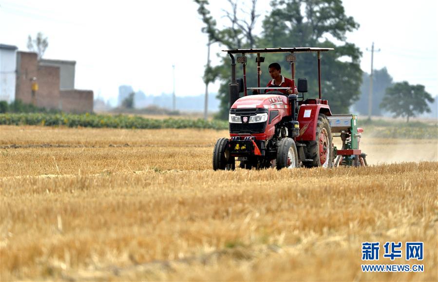（新華全媒頭條&middot;圖文互動(dòng)）（8）一個(gè)傳統(tǒng)農(nóng)業(yè)縣的脫貧之路&mdash;&mdash;來自河北新河的調(diào)查報(bào)告
