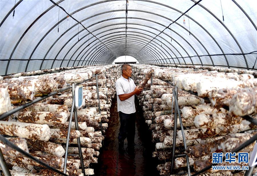 （新華全媒頭條&middot;圖文互動(dòng)）（10）一個(gè)傳統(tǒng)農(nóng)業(yè)縣的脫貧之路&mdash;&mdash;來自河北新河的調(diào)查報(bào)告