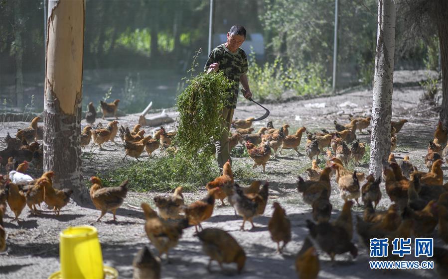 （新華全媒頭條&middot;圖文互動(dòng)）（6）同心援疆，&ldquo;壯闊&rdquo;祖國(guó)西北角