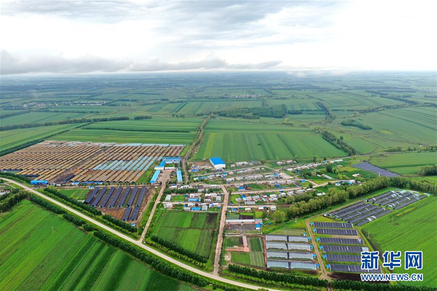 （圖文互動(dòng)）（2）（在習(xí)近平新時(shí)代中國(guó)特色社會(huì)主義思想指引下&mdash;&mdash;新時(shí)代新作為新篇章）&ldquo;團(tuán)結(jié)&rdquo;振興團(tuán)結(jié)村&mdash;&mdash;黑龍江拜泉縣團(tuán)結(jié)村凝聚民心攻堅(jiān)脫貧