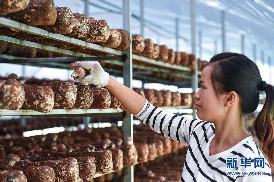 （壯麗70年&middot;奮斗新時(shí)代&mdash;&mdash;共和國(guó)發(fā)展成就巡禮&middot;圖文互動(dòng)）（8）多彩貴州闖新路