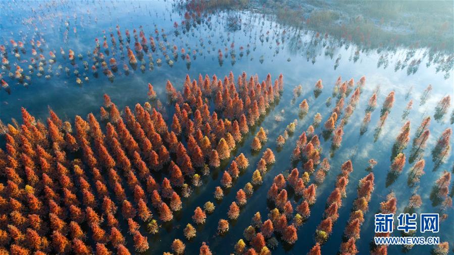 (壯麗70年·奮斗新時(shí)代——共和國(guó)發(fā)展成就巡禮)(4)云嶺彩卷繪 高原氣象新——新中國(guó)成立70年云南發(fā)展巡禮