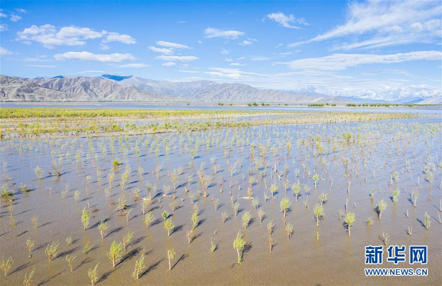 （壯麗70年&middot;奮斗新時(shí)代&mdash;&mdash;共和國(guó)發(fā)展成就巡禮&middot;圖文互動(dòng)）（9）人間奇跡在高原&mdash;&mdash;新中國(guó)成立70年西藏發(fā)展成就紀(jì)實(shí)