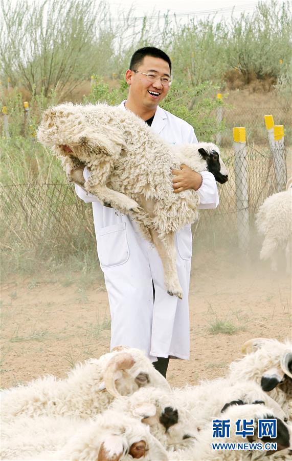 （壯麗70年&middot;奮斗新時代&mdash;&mdash;共和國發(fā)展成就巡禮&middot;圖文互動）（3）生態(tài)美、百姓富&mdash;&mdash;品讀嶄新&ldquo;寧夏畫卷&rdquo;