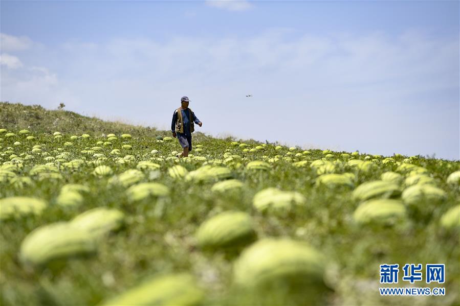 （壯麗70年&middot;奮斗新時代&mdash;&mdash;共和國發(fā)展成就巡禮&middot;圖文互動）（4）生態(tài)美、百姓富&mdash;&mdash;品讀嶄新&ldquo;寧夏畫卷&rdquo;