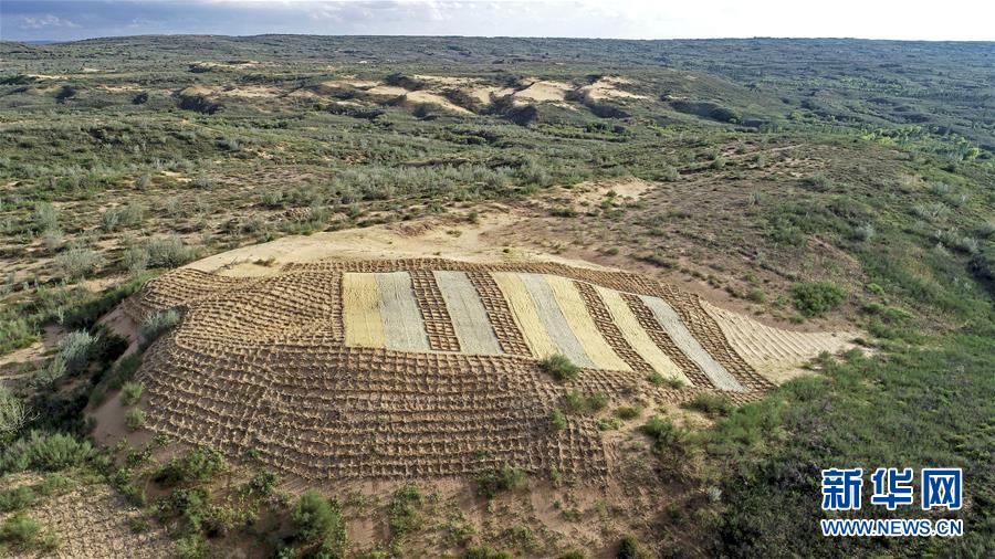 （壯麗70年&middot;奮斗新時代&mdash;&mdash;共和國發(fā)展成就巡禮&middot;圖文互動）（6）生態(tài)美、百姓富&mdash;&mdash;品讀嶄新&ldquo;寧夏畫卷&rdquo;