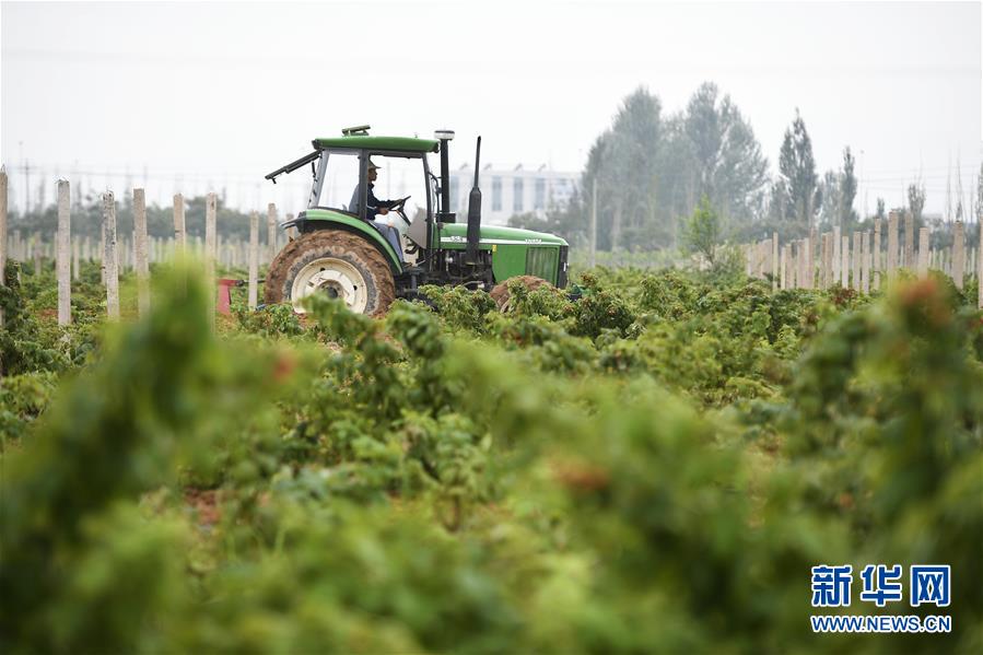 （壯麗70年&middot;奮斗新時代&mdash;&mdash;共和國發(fā)展成就巡禮&middot;圖文互動）（10）生態(tài)美、百姓富&mdash;&mdash;品讀嶄新&ldquo;寧夏畫卷&rdquo;