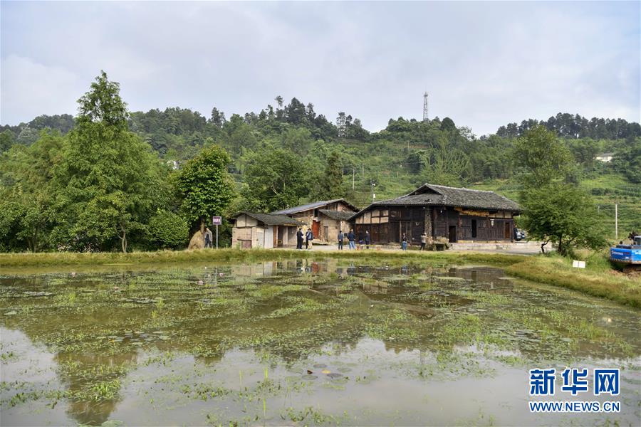 （來自一線的調查報告&middot;圖文互動）（2）利益聯(lián)結強產業(yè)　打通城鄉(xiāng)促振興&mdash;&mdash;重慶涪陵大順鄉(xiāng)鄉(xiāng)村振興觀察