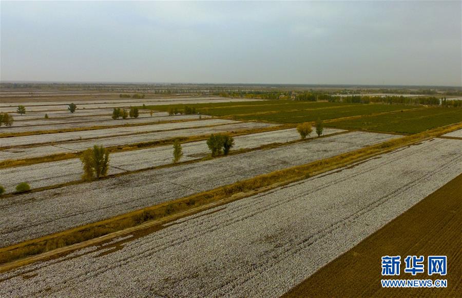 （壯麗70年&middot;奮斗新時代&mdash;&mdash;共和國發(fā)展成就巡禮&middot;圖文互動）（1）鑄劍為犁造綠洲 安邊固疆筑&ldquo;長城&rdquo;&mdash;&mdash;新疆生產(chǎn)建設(shè)兵團(tuán)維穩(wěn)戍邊改革發(fā)展紀(jì)實