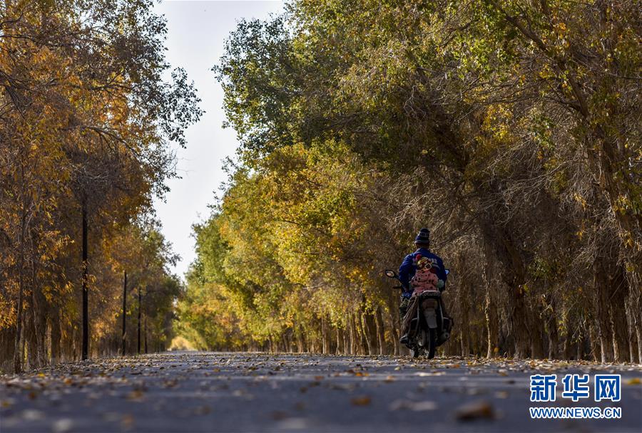（壯麗70年&middot;奮斗新時代&mdash;&mdash;共和國發(fā)展成就巡禮&middot;圖文互動）（2）鑄劍為犁造綠洲 安邊固疆筑&ldquo;長城&rdquo;&mdash;&mdash;新疆生產(chǎn)建設(shè)兵團(tuán)維穩(wěn)戍邊改革發(fā)展紀(jì)實