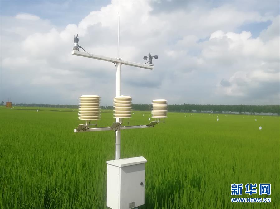 (在習近平新時代中國特色社會主義思想指引下——新時代新作為新篇章·圖文互動)(1)從“靠天吃飯”到“看天管理”——黑龍江創(chuàng)新氣象為農服務體系觀察