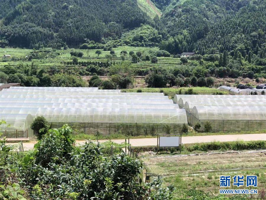 （脫貧攻堅&middot;圖文互動）（2）貧困戶成了致富帶頭人