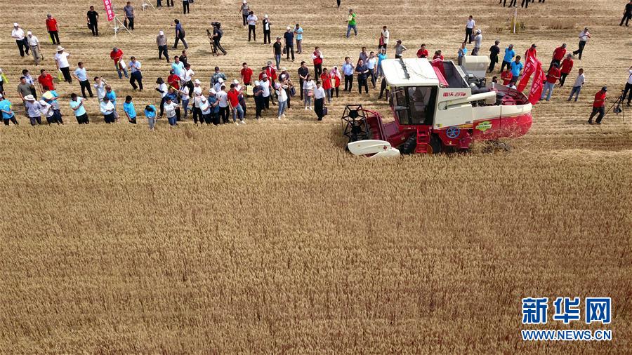 （壯麗70年&middot;奮斗新時代&mdash;&mdash;共和國發(fā)展成就巡禮）（3）看今朝齊風魯韻　七十載芳華正勁&mdash;&mdash;新中國成立以來山東領先發(fā)展紀實