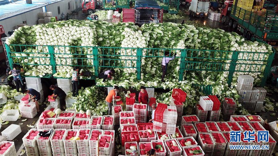 （壯麗70年&middot;奮斗新時代&mdash;&mdash;共和國發(fā)展成就巡禮）（5）看今朝齊風魯韻　七十載芳華正勁&mdash;&mdash;新中國成立以來山東領先發(fā)展紀實