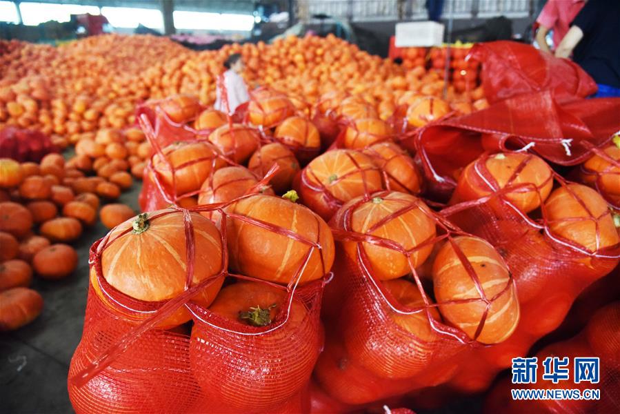 （壯麗70年&middot;奮斗新時代&mdash;&mdash;共和國發(fā)展成就巡禮）（6）看今朝齊風魯韻　七十載芳華正勁&mdash;&mdash;新中國成立以來山東領先發(fā)展紀實